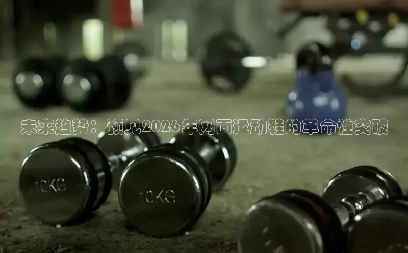 飞速直播体育nba无插件